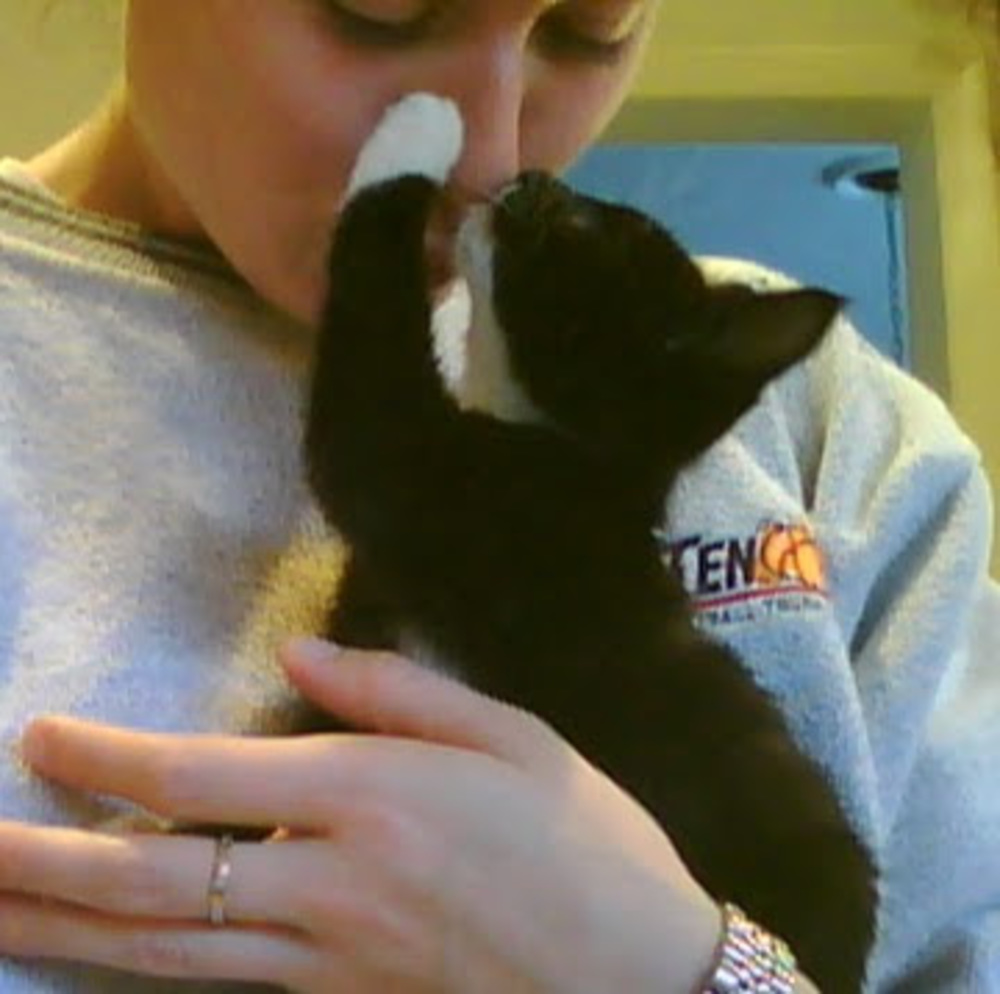 Meet your Posher, Sarah